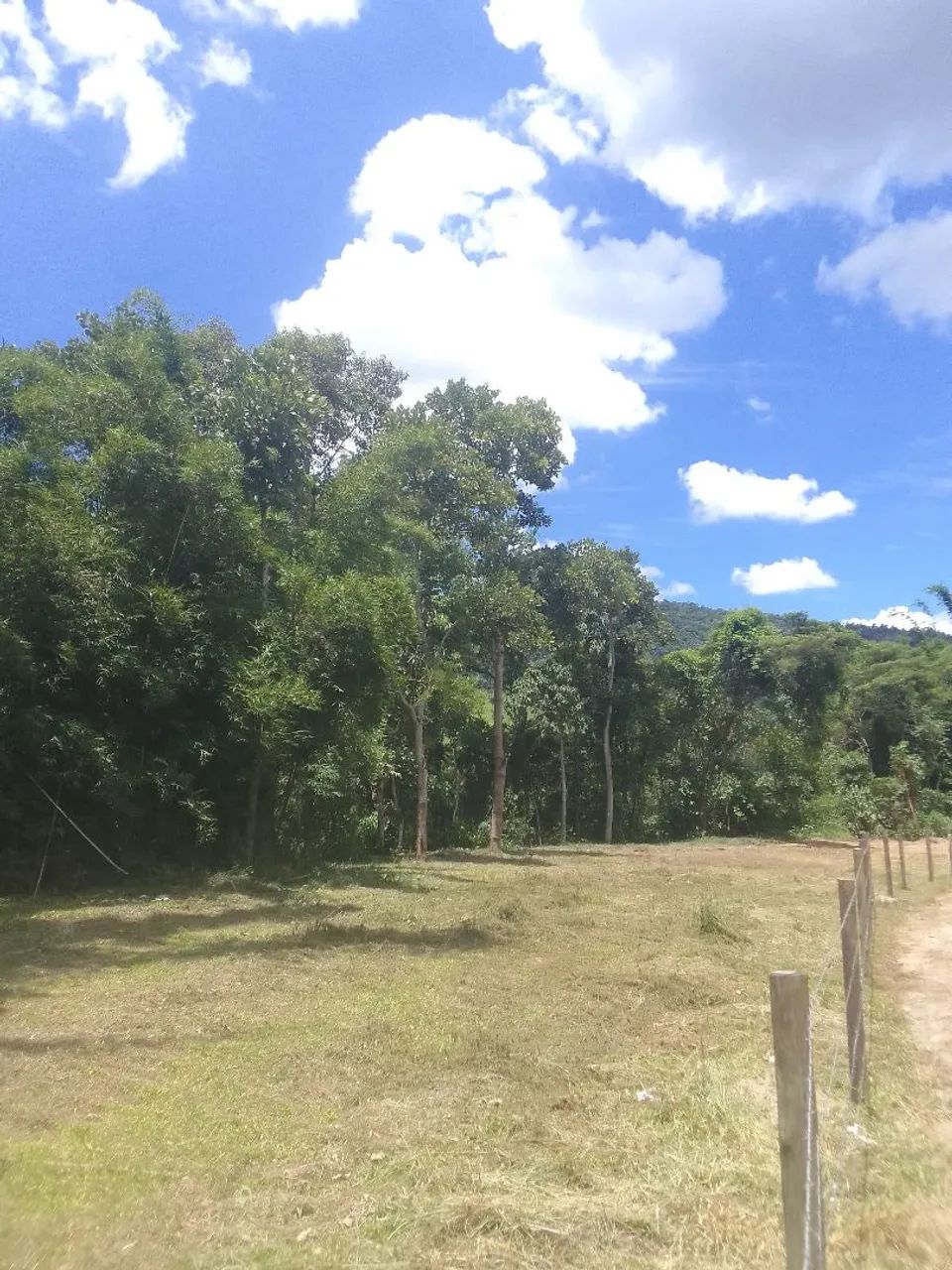 Foto - Itatiaia - 