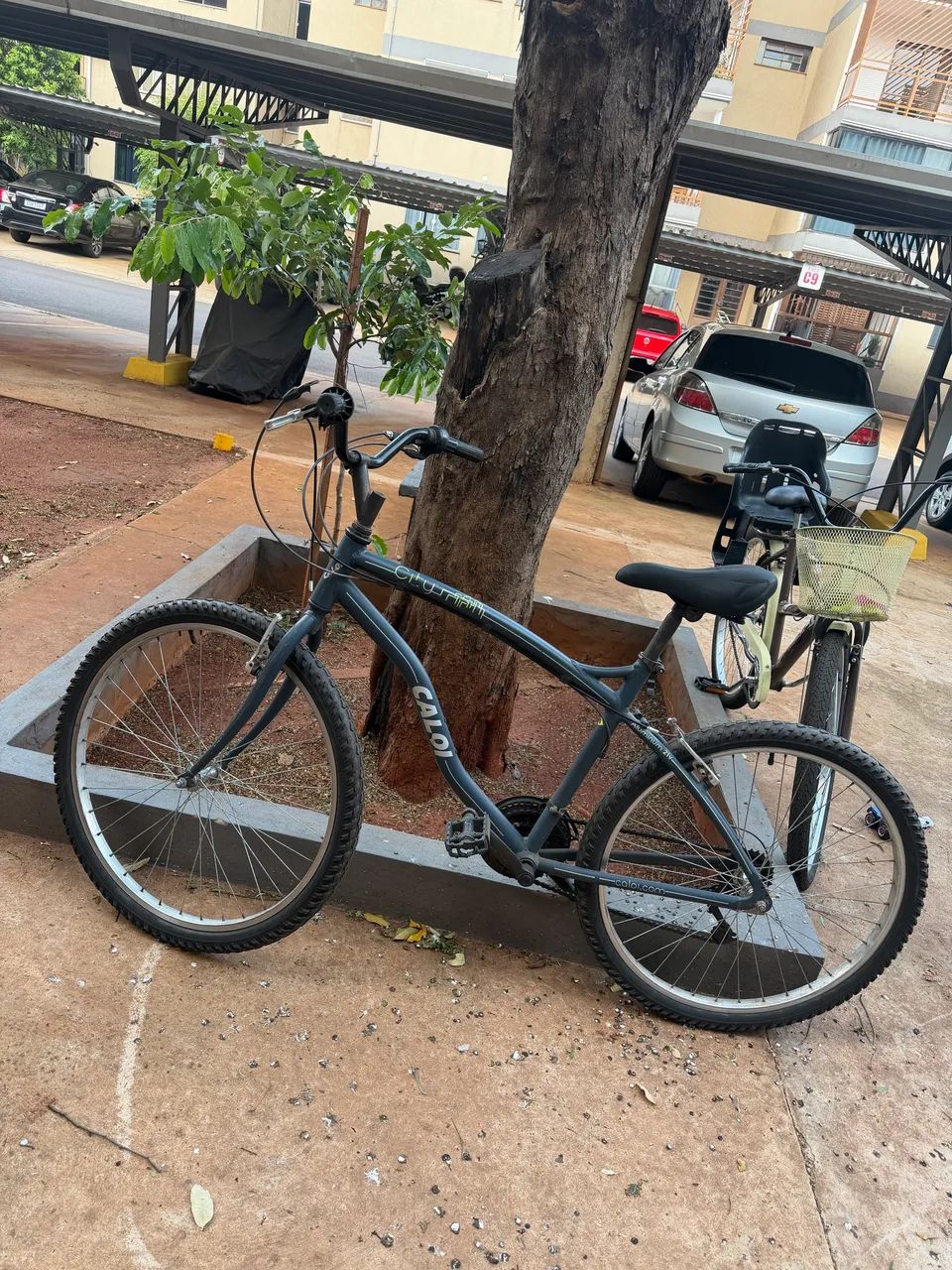 Bicicleta 