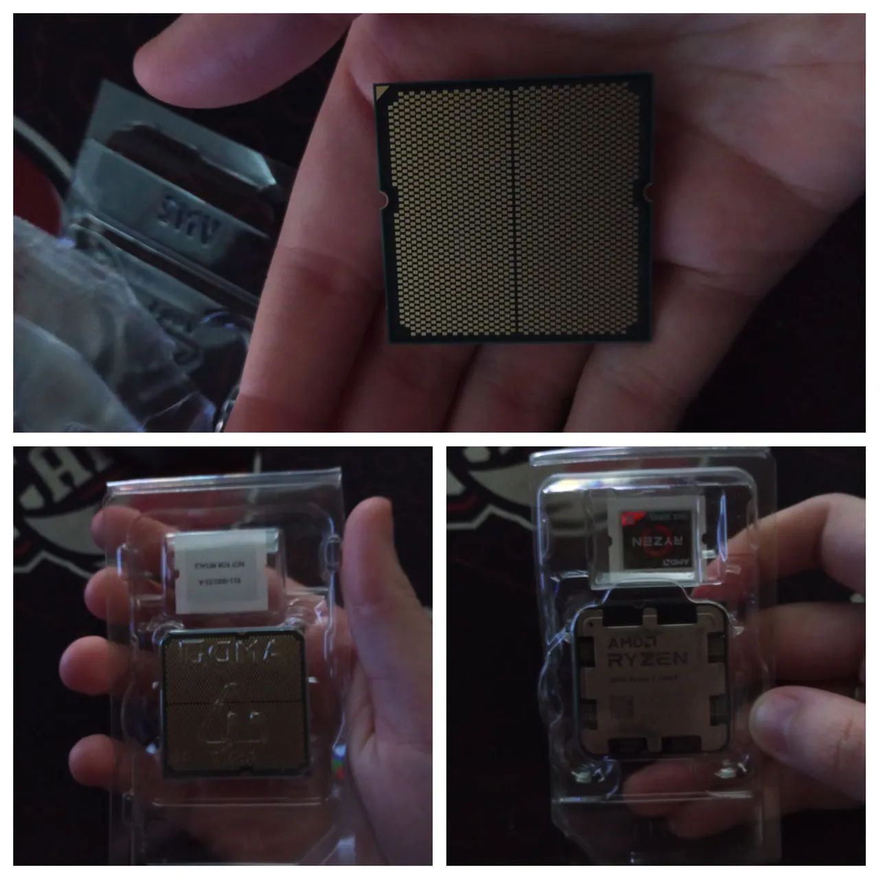 AMD RYZEN 5 7600X 