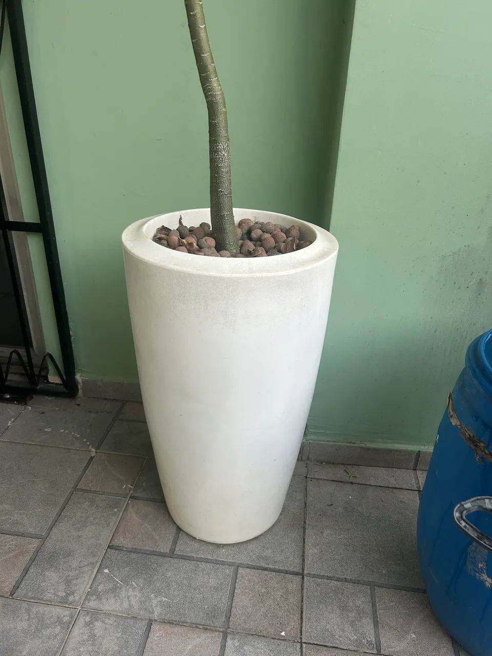Vaso para planta - Foto 2