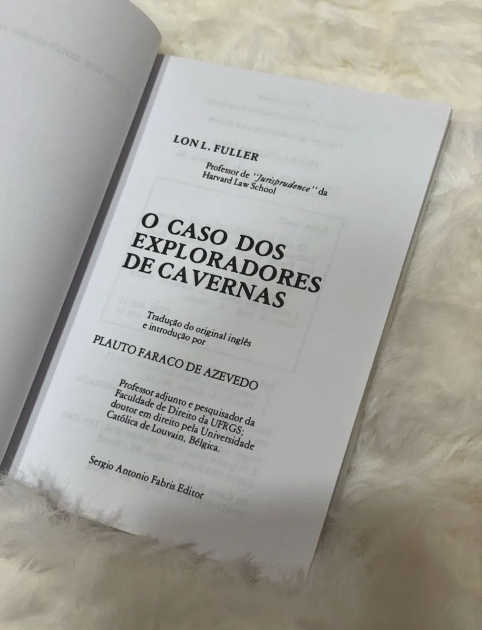 Livro o caso dos exploradores de caverna