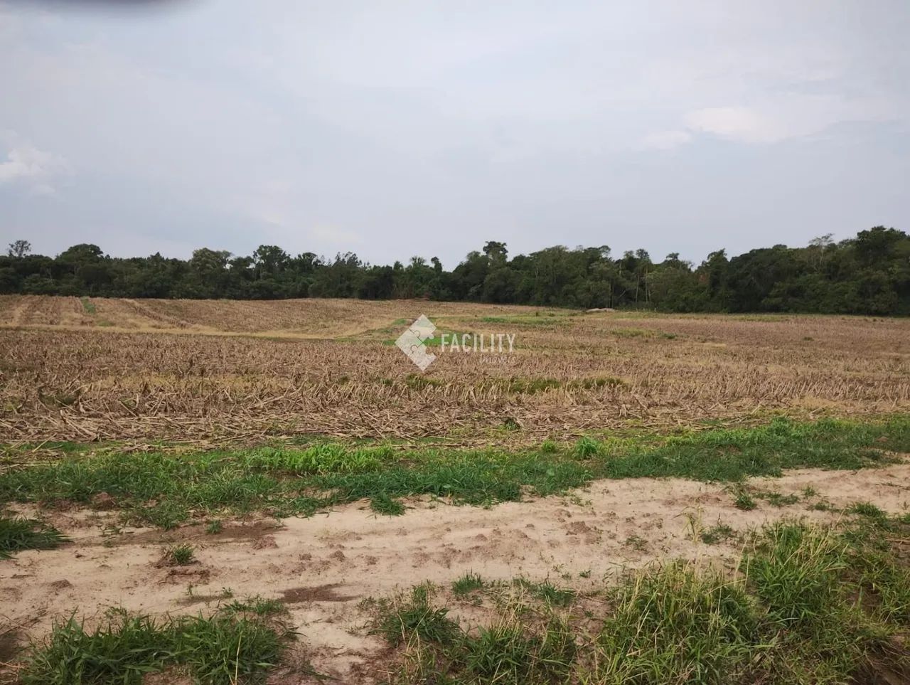 Sitio produtivo em Itapetininga - Sorocaba - Foto 3