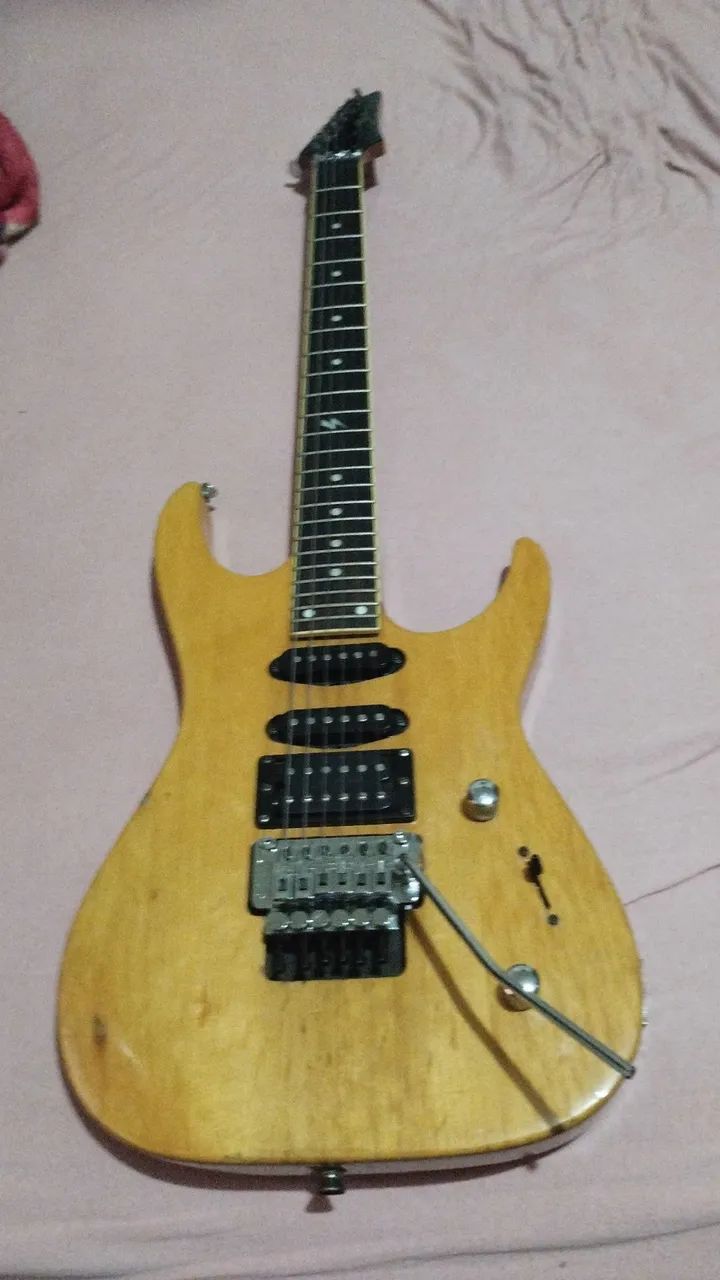 Guitarra Shelter  - Foto 2