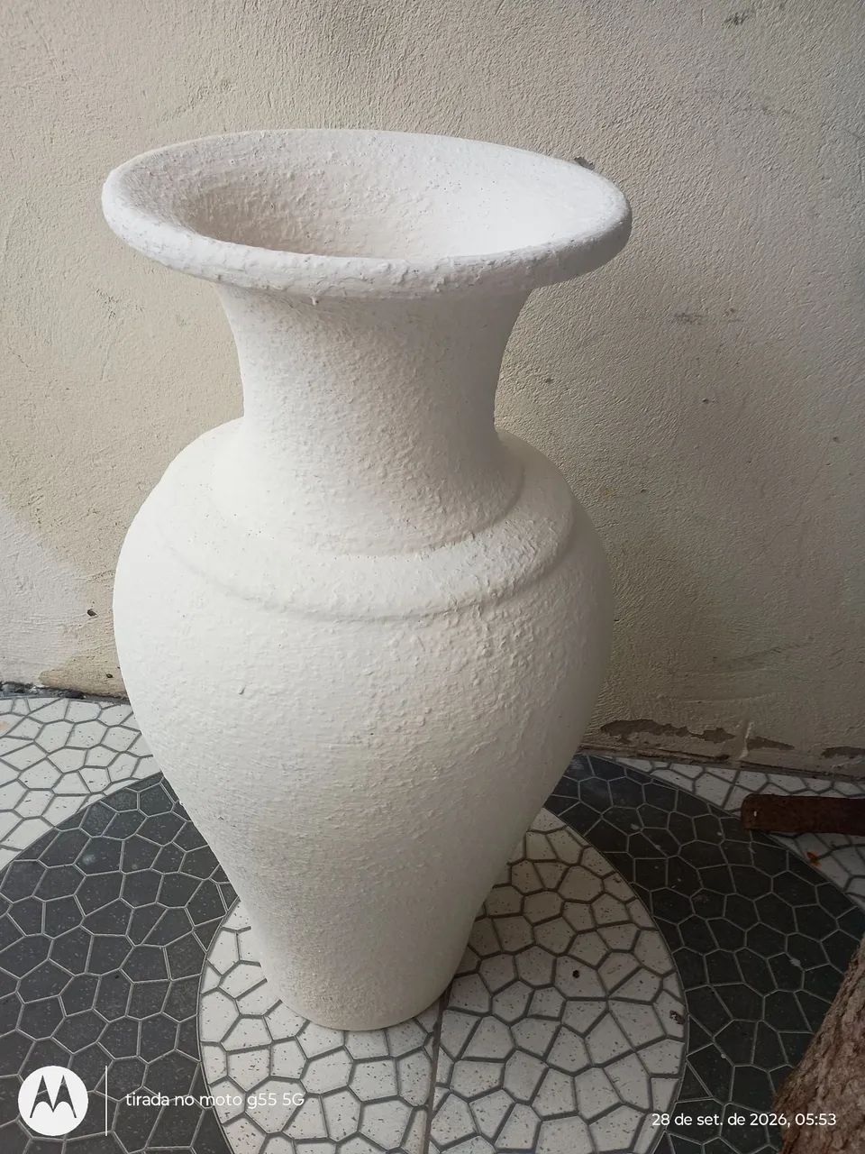 Vazo planta
