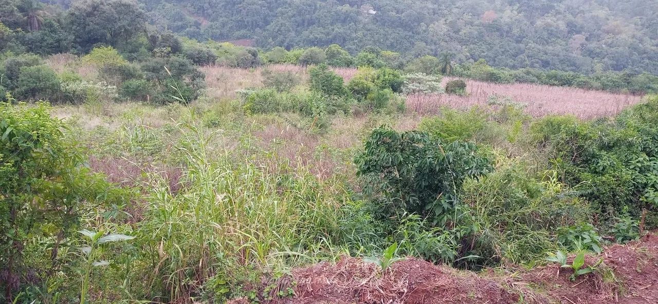 Chácara Linha Temeraria Nova Petrópolis - Foto 4