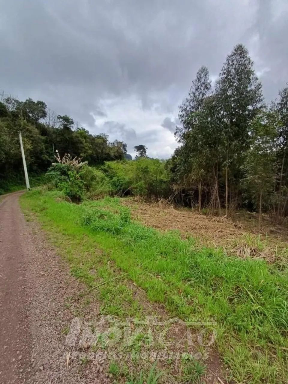 Chácara Linha Temeraria Nova Petrópolis