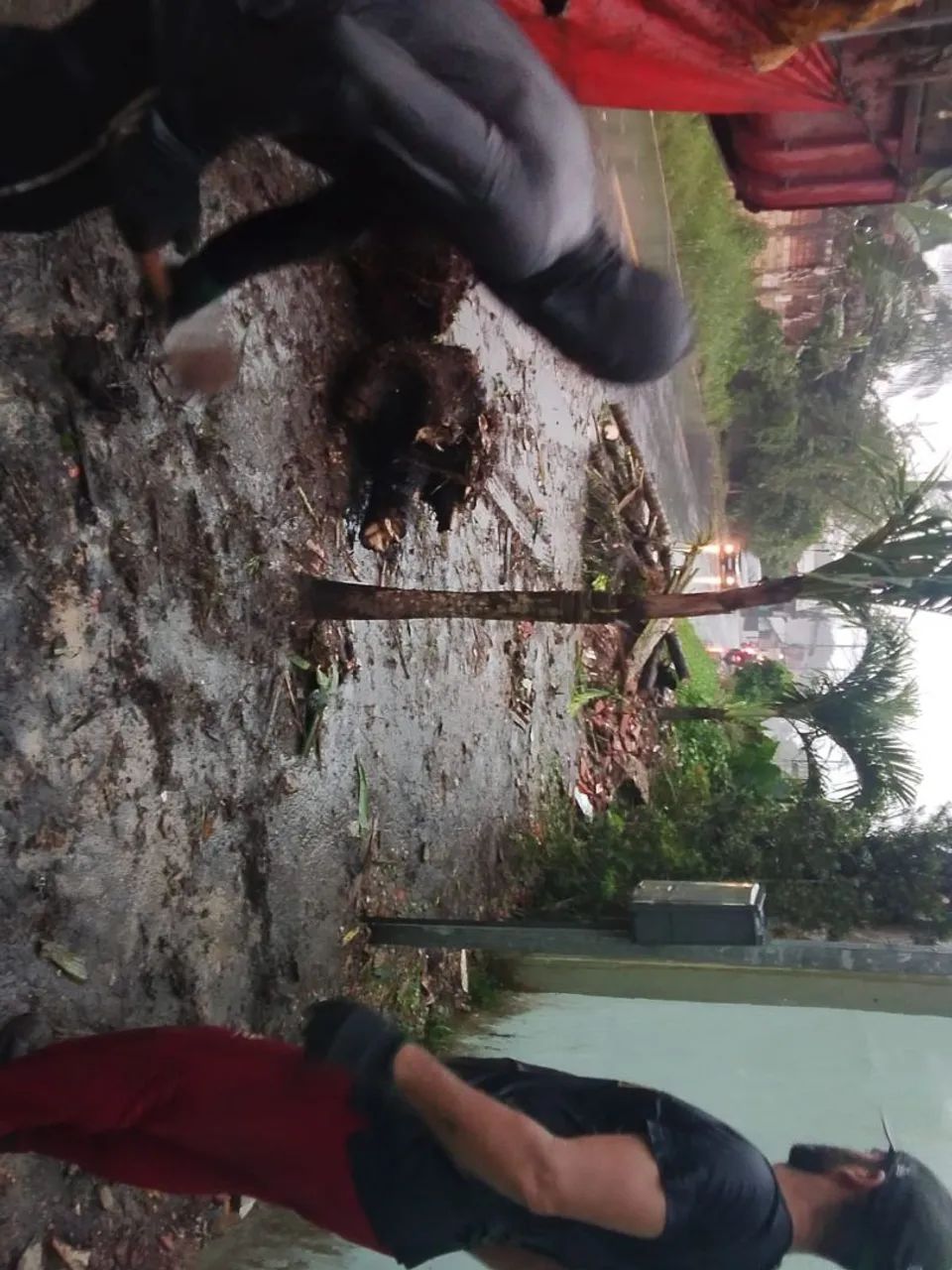 Retirada de entulho e limpeza de obras  - Foto 2