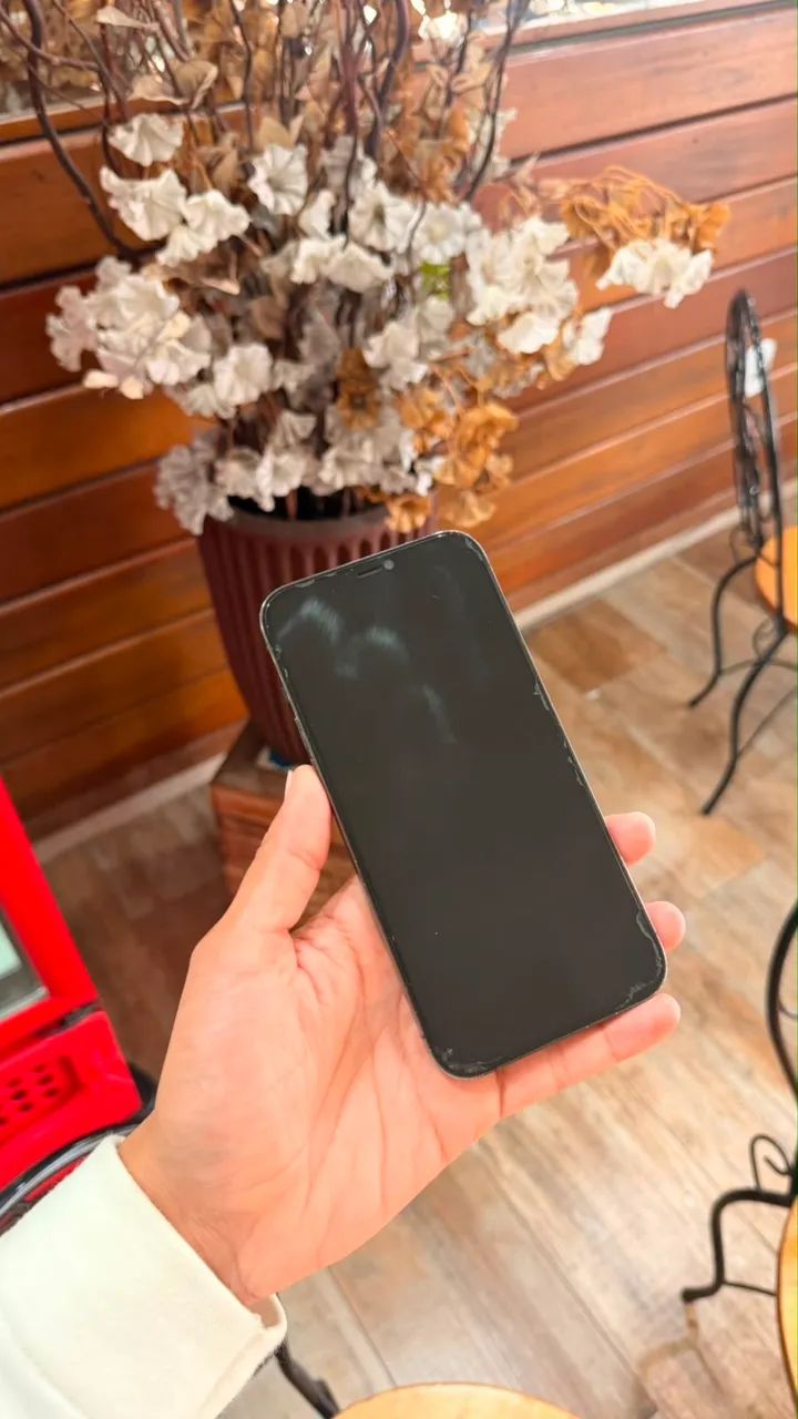 iPhone 12 Pro Max 
