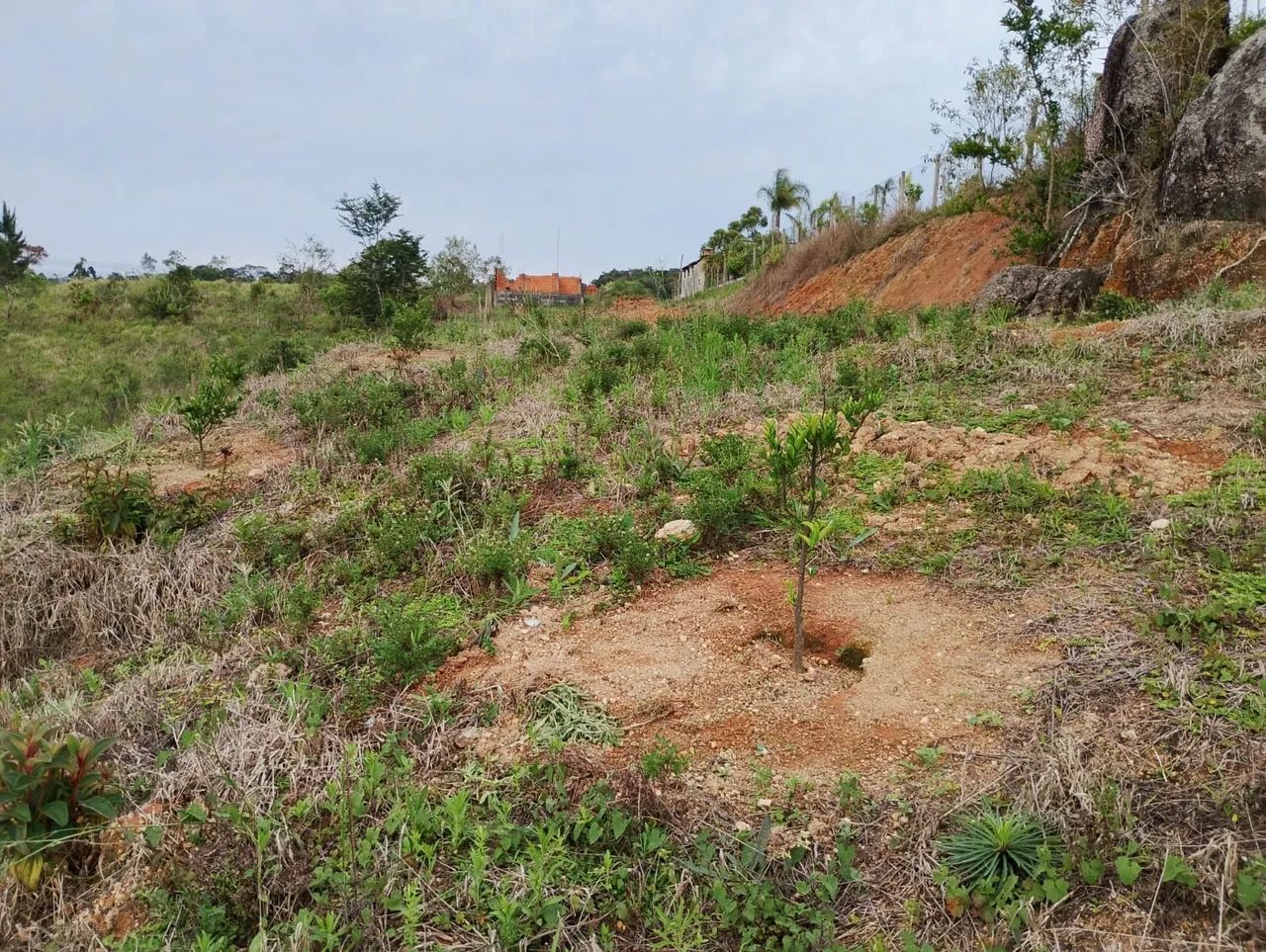 Terreno para formar chácara  - Foto 4