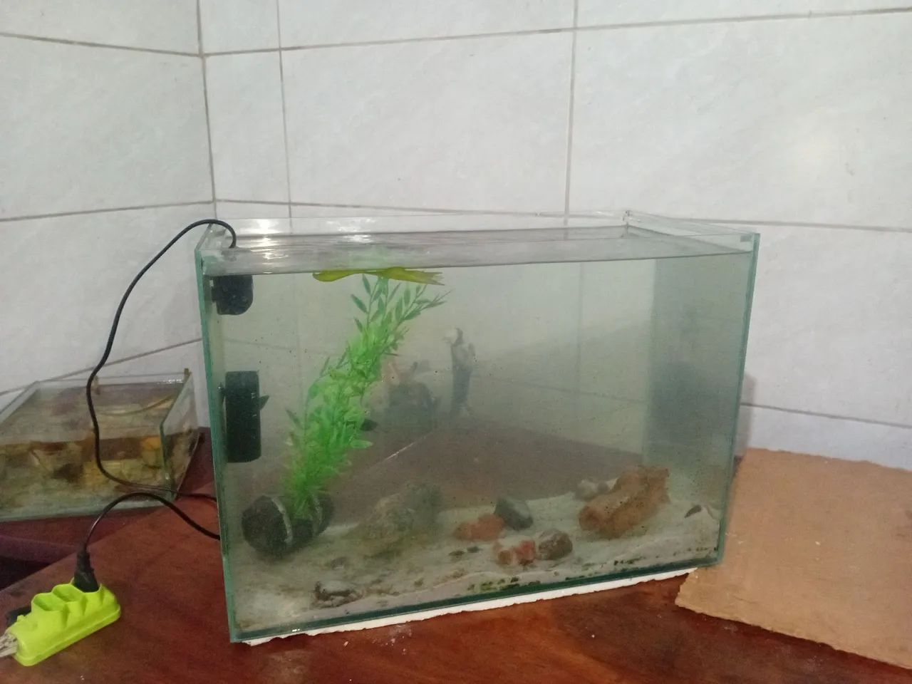 Aquário  - Foto 2