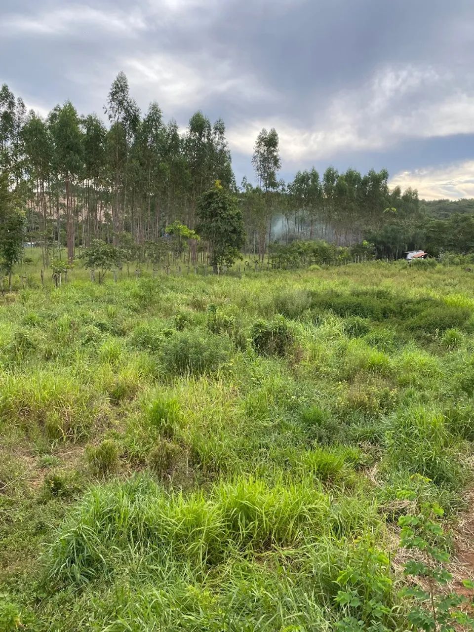 Foto - Goiânia - Vila Isaura