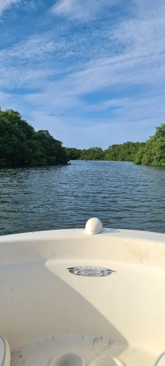 Bayliner Capri 16 pés - 2001 | Mercury 90 HP 2T + Carreta - Foto 4