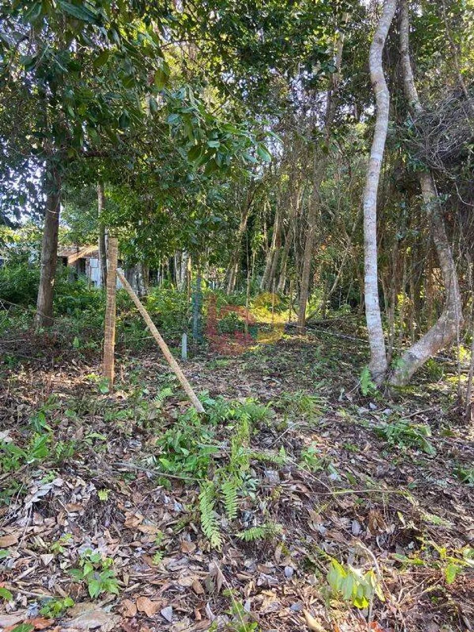 VENDO LOTE NO SARGI - Foto 2