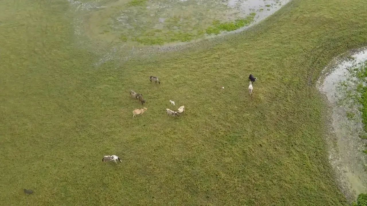 Imóvel para venda tem  metros quadrados com 3 quartos em Centro - Amapá - AP - Foto 2