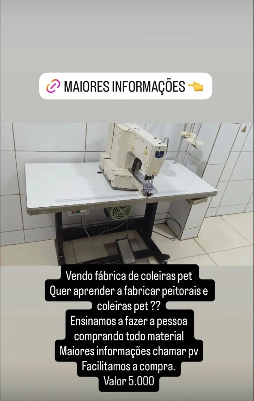 Fábrica de coleira pet 