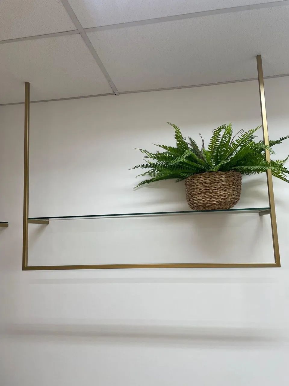 Samambaia artificial 