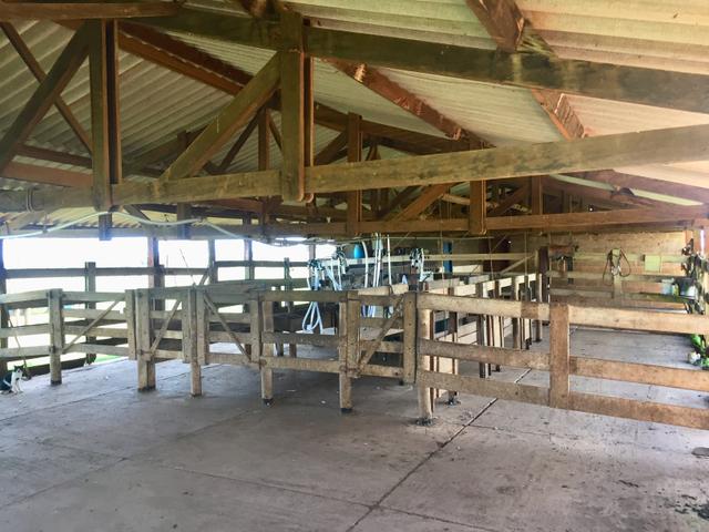 Fazenda em Frutal Minas Gerais Triângulo Mineiro - Foto 12