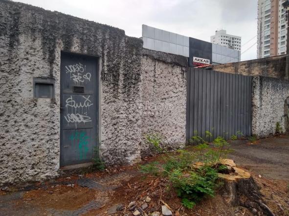 Terreno para alugar com 0 dormitórios em Cambuí, Campinas cod:TE049120 - Foto 4