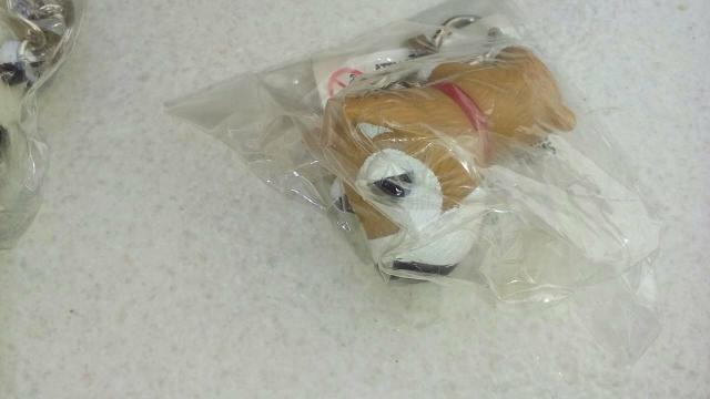 Desapega dogs chips