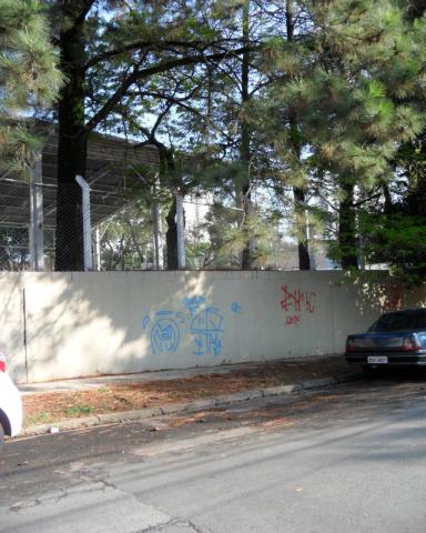 Terreno para alugar com 0 dormitórios em Cambuí, Campinas cod:TE050177 - Foto 4