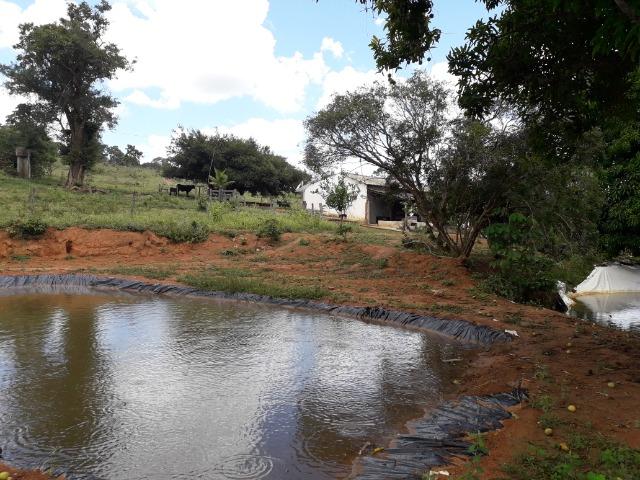 Fazenda à venda ou troca R$ 12 mil o Hectare- Zona Rural - Luziânia/GO - Foto 17