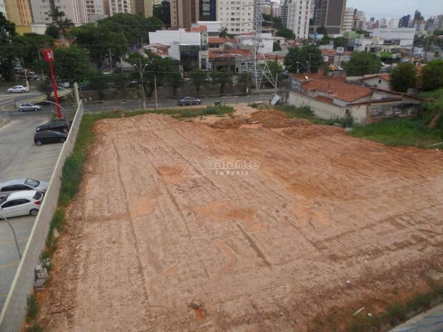 Terreno para alugar com 0 dormitórios em Cambuí, Campinas cod:AR003053 - Foto 4