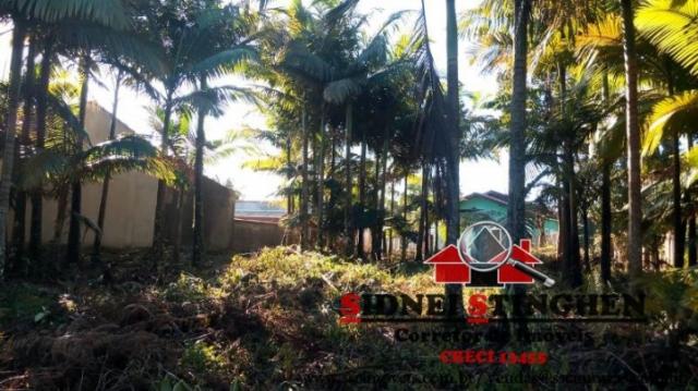 Confira! chácara com 3.192,92 m² em bal. barra do sul - sc. - Foto 5
