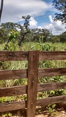 Oportunidades venda de fazenda de 14 alq em Uruaçu GO
