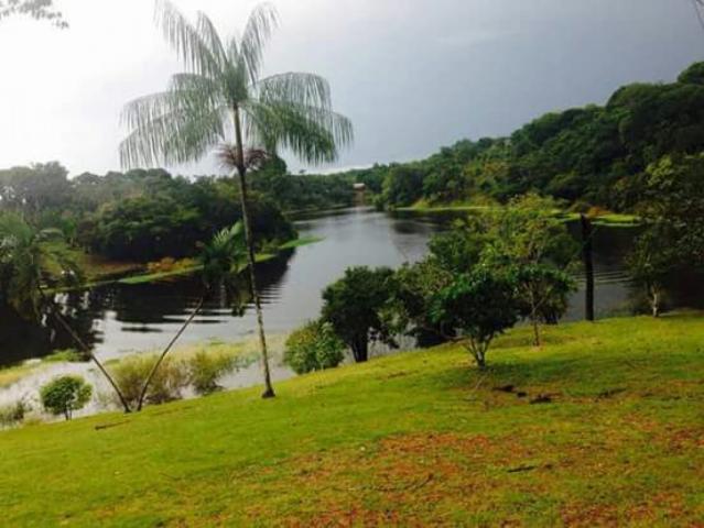 Ilha no Ramal Novo Tempo em iranduba - AM - Foto 18