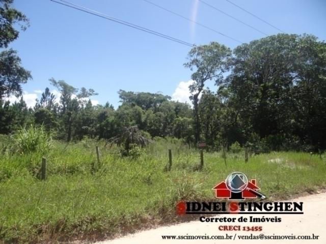Confira! chácara toda cercada, com 1.160,00 m² em bal. barra do sul - sc. - Foto 5