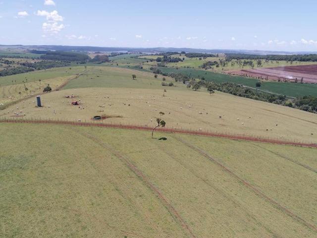 Avaré-Sp, Fazenda 170 Alqueires - Foto 4