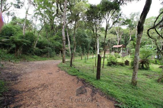Terreno rural com 4.000 m² no Borda do Campo - Foto 7