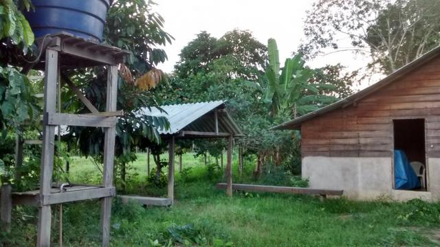 Vendo ou troco casa em Belterra - Foto 2
