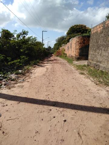 Vendo ou troco um sítio documentado (valor negociável) - Foto 17