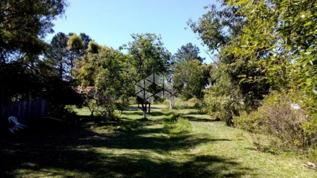 Chácara à venda em Chapéu do sol, Porto alegre cod:CH0015 - Foto 5