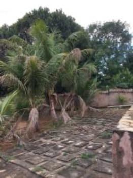 Urgente - Chácara em Luziânia - Foto 15