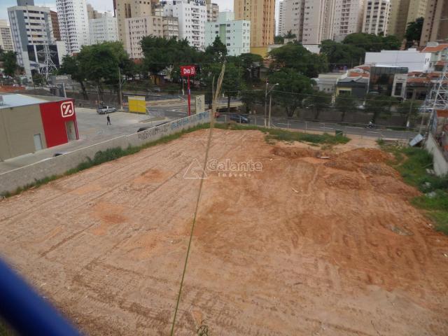 Terreno para alugar com 0 dormitórios em Cambuí, Campinas cod:AR003053 - Foto 5