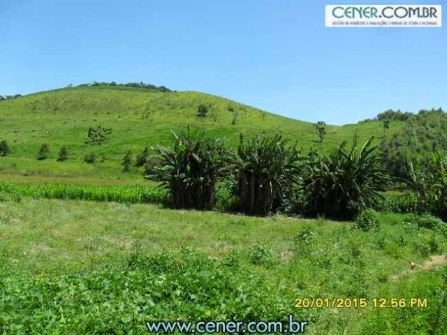 1620/Extraordinária fazenda de 220 ha com 2.000 l/leite dia de porteira fechada - oport - Foto 8