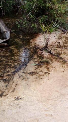Fazenda a 4 km do frigorífico em nova marilândia - 7 km da cidade - Foto 4