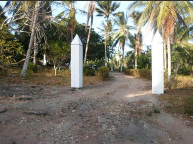 Vendo Chacara no cumbique por R$ 85 mil reais - Foto 6