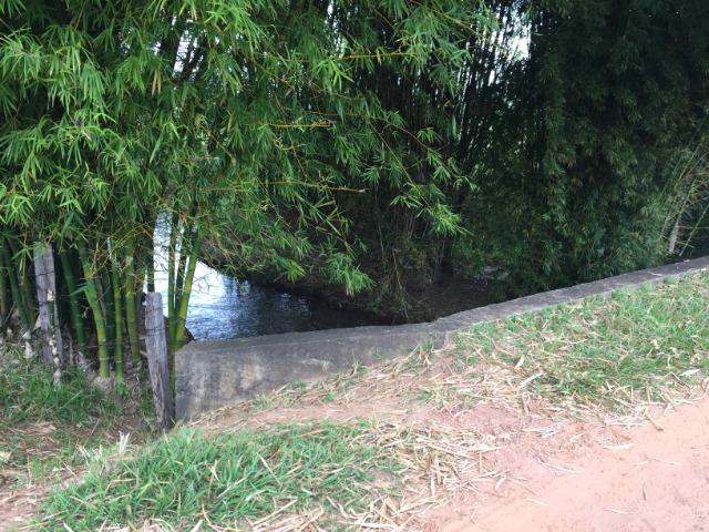 25 Alqueires-Avelinópolis Goiás-Próx. Goiânia-Excelente Preço R$ 150.000,00 o Alqueire - Foto 6