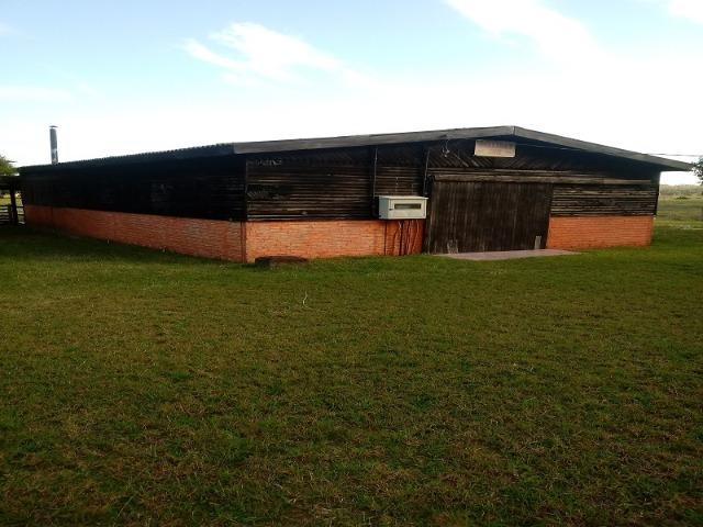 Bela Fazenda - Foto 12