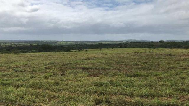 Excelente Fazenda em Feira de Santana-BA - Foto 20