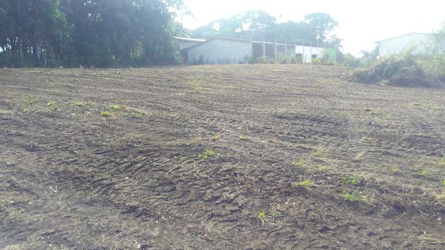 Alugo terreno