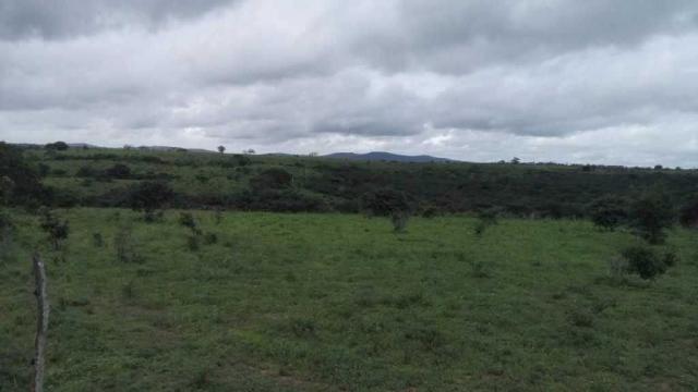Excelente Fazenda em Feira de Santana-BA - Foto 9