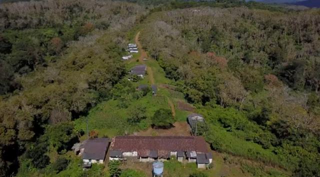 Fazenda de Cacau, Látex e Mogno no Brasil - Cidade Ituberá-BA - Foto 12