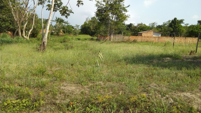 Vendo terreno em mosqueiro( parcelas de 500 até 20vezes) - Foto 2
