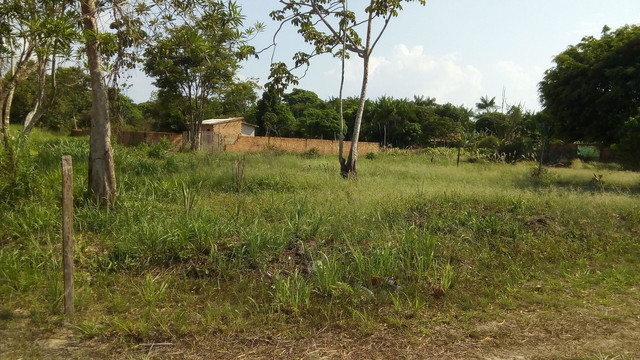 Vendo terreno em mosqueiro( parcelas de 500 até 20vezes) - Foto 4
