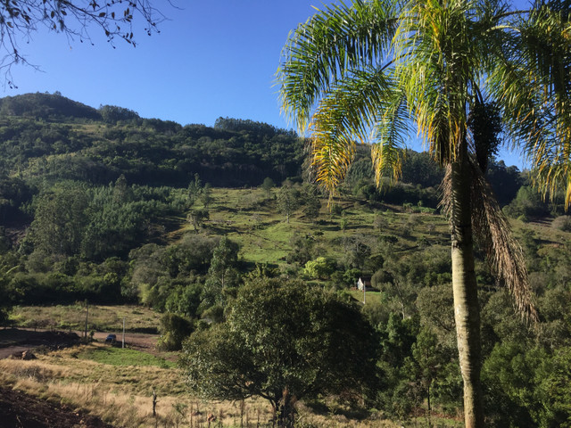 Chácara com Riacho 13 Hectares
