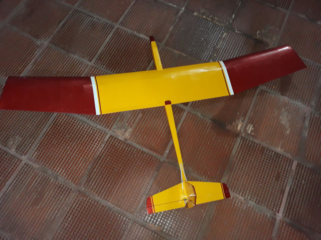 Aeromodelo planador Selig. Flyincircus.
